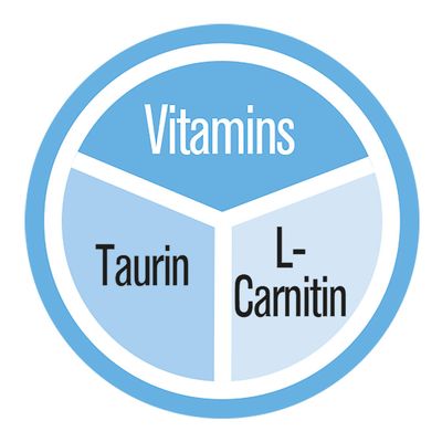 قرص مکمل رشد بچه گربه جیم کت کیتن – GimCat Kitten Tabs 40gr - Image 3