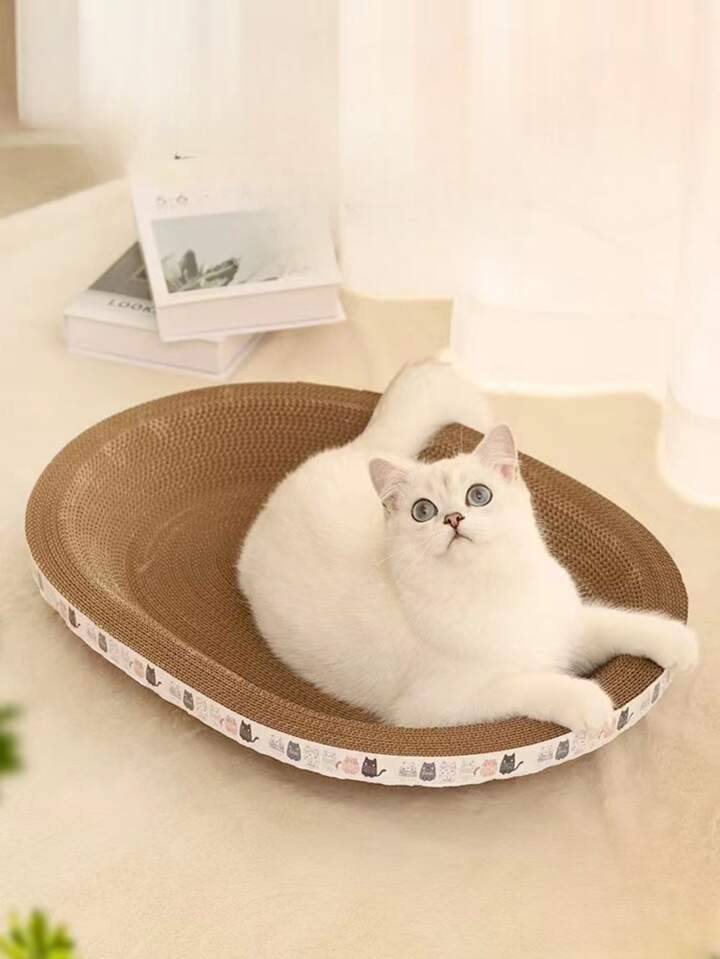 photo_9_2025-05-15_18-32-16