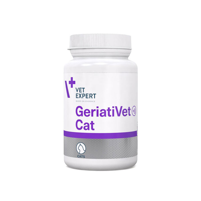 geriativet_cat_20231108-Kopiowanie-1086×1536-1
