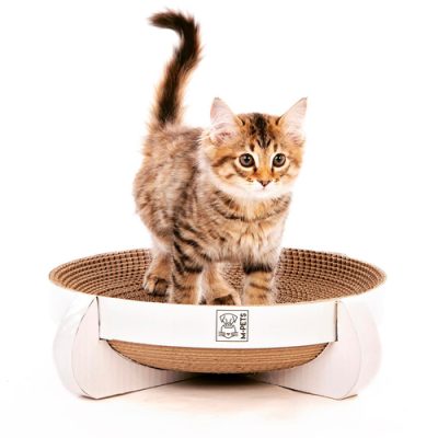 تخته اسکرچر مقوایی گربه ام پتس M-PETS