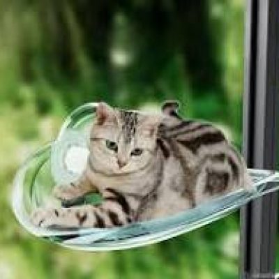 جای خواب پنجره ای گربه شیشه ای
