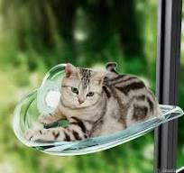 جای خواب پنجره ای گربه شیشه ای